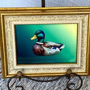 Mallard Duck Print in Gold Frame 8.25"tall x 10.25"wide